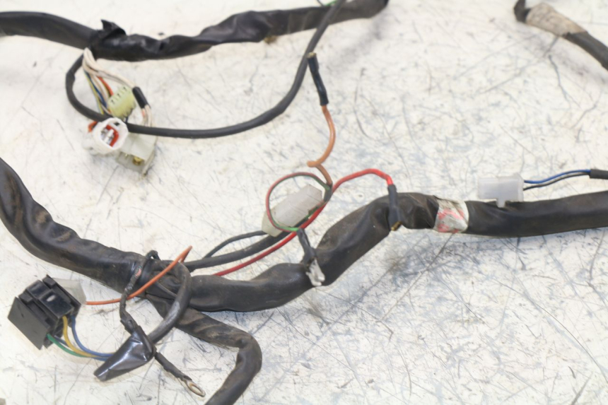 photo de WIRING HARNESS YAMAHA YP MAJESTY 125 (1998 - 2001)