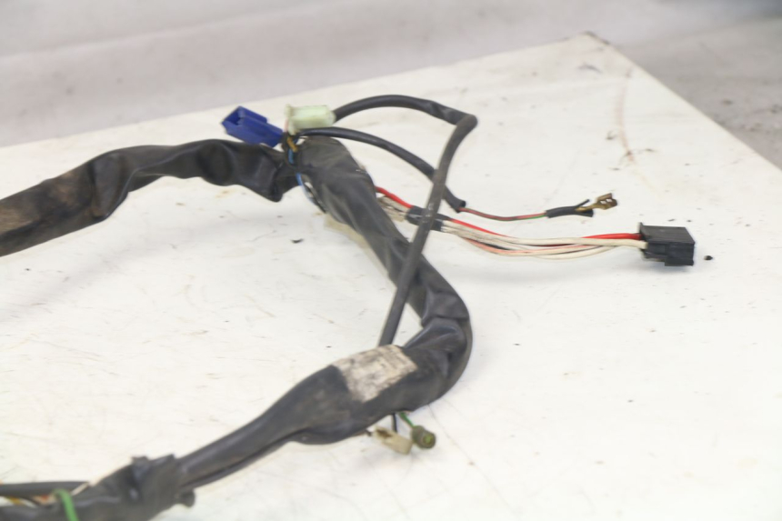 photo de WIRING HARNESS YAMAHA YP MAJESTY 125 (1998 - 2001)