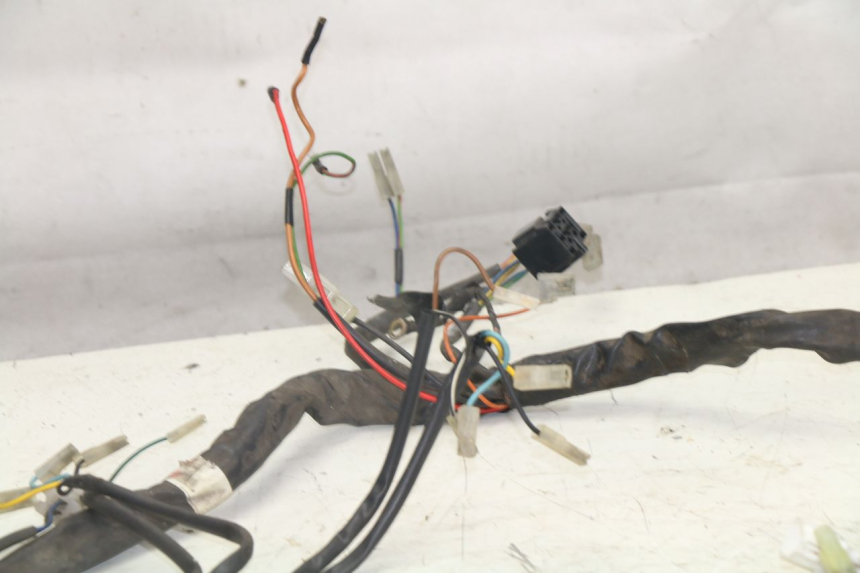 photo de WIRING HARNESS YAMAHA YP MAJESTY 125 (1998 - 2001)
