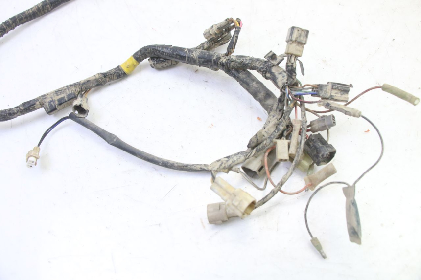 photo de WIRE HARNESS YAMAHA YFM BRUIN 350 (2003 - 2009)