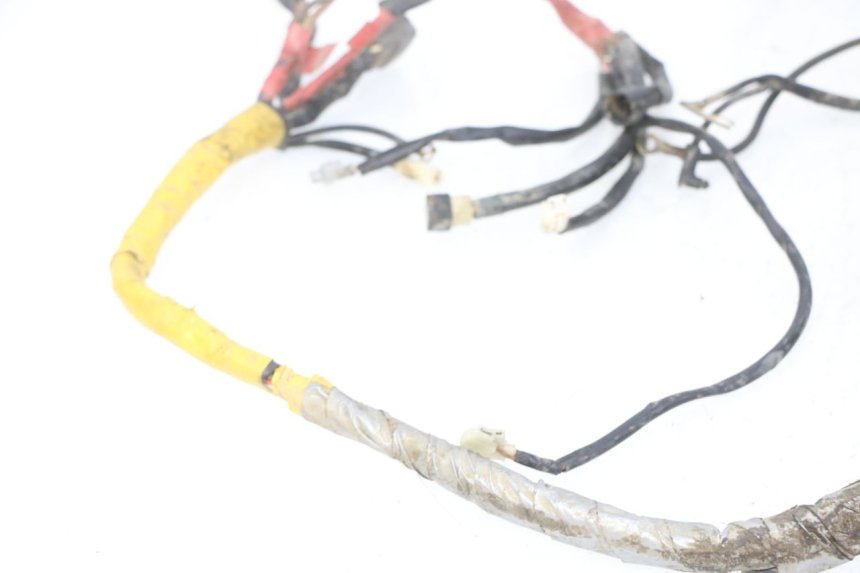 photo de WIRE HARNESS YAMAHA YFM R RAPTOR 250 (2008 - 2014)