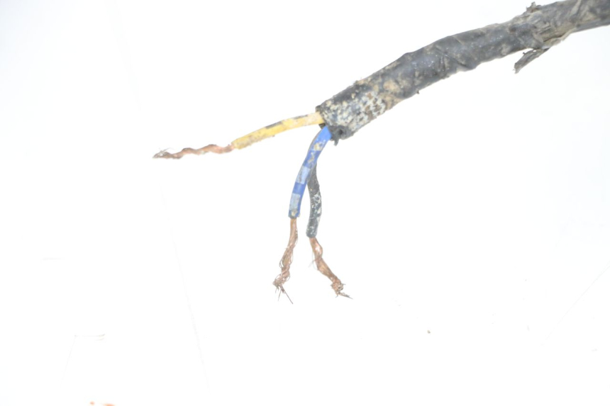 photo de WIRE HARNESS YAMAHA YFM R RAPTOR 250 (2008 - 2014)