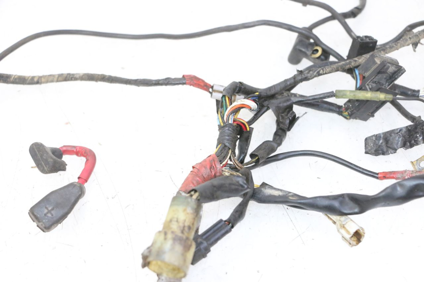 photo de WIRE HARNESS YAMAHA YFM R RAPTOR 250 (2008 - 2014)