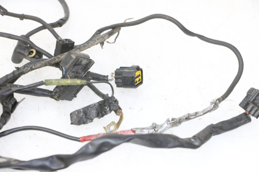 photo de WIRE HARNESS YAMAHA YFM R RAPTOR 250 (2008 - 2014)