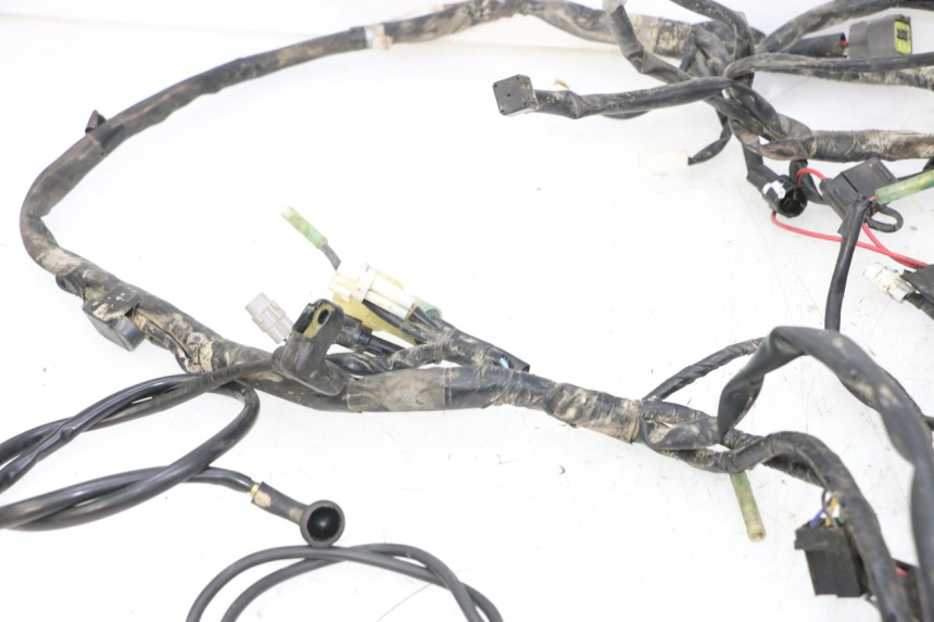 photo de WIRE HARNESS YAMAHA YFM R RAPTOR 250 (2008 - 2014) - Additional view of the item
