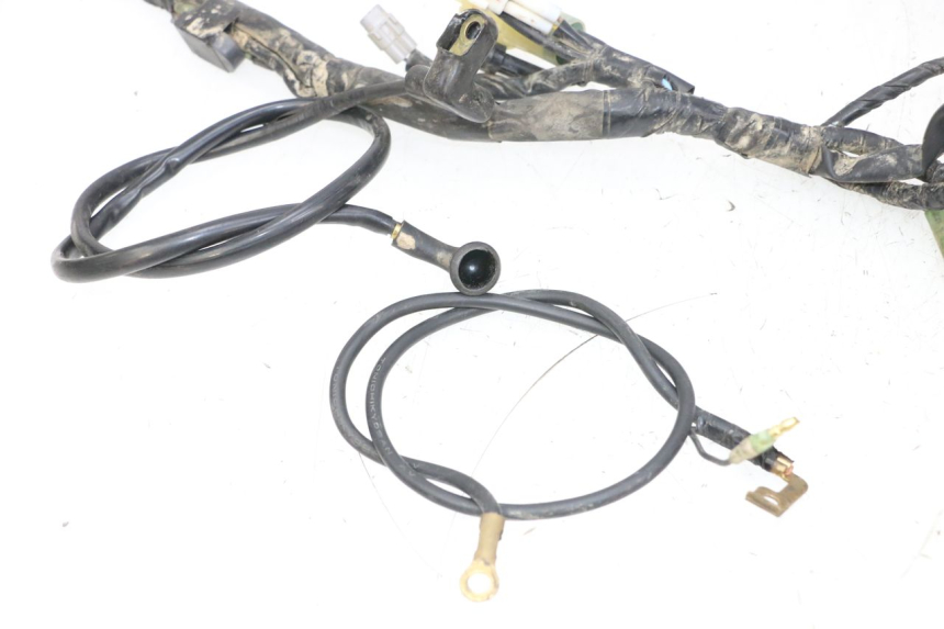 photo de WIRE HARNESS YAMAHA YFM R RAPTOR 250 (2008 - 2014) - Detailed visual inspection