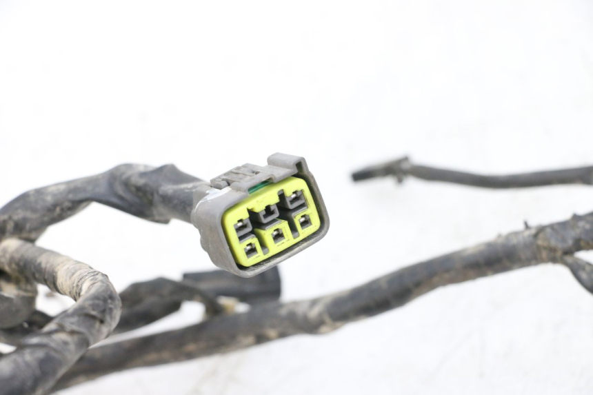 photo de WIRE HARNESS YAMAHA YFM R RAPTOR 250 (2008 - 2014) - Product overview