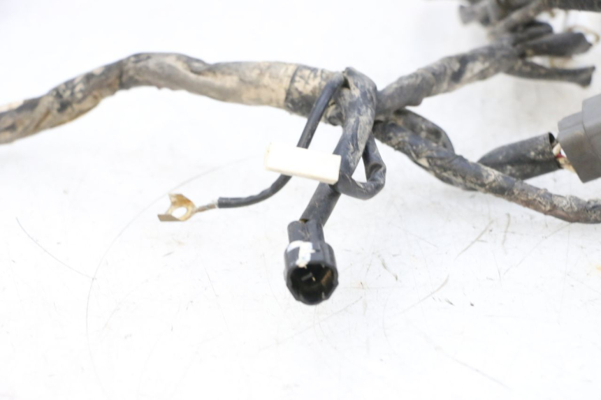 photo de WIRE HARNESS YAMAHA YFM R RAPTOR 250 (2008 - 2014) - Fixing points details