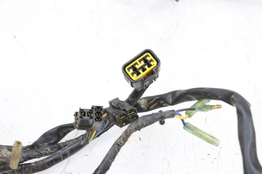 photo de WIRE HARNESS YAMAHA YFM R RAPTOR 250 (2008 - 2014) - Markings and original references