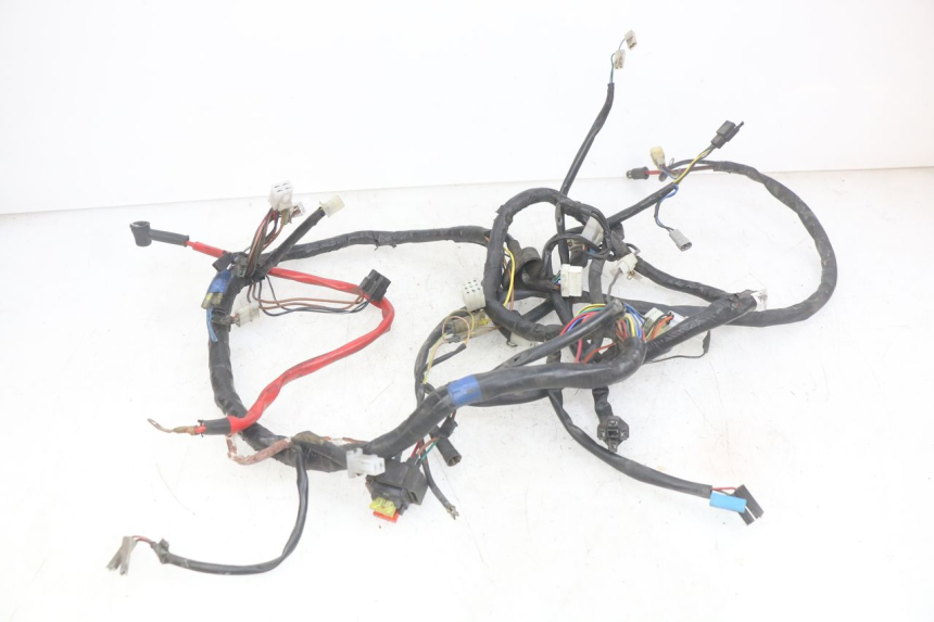 photo de WIRING HARNESS YAMAHA YP MAJESTY 125 (2007 - 2010)