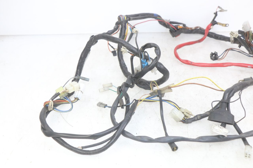 photo de WIRING HARNESS YAMAHA YP MAJESTY 125 (2007 - 2010)