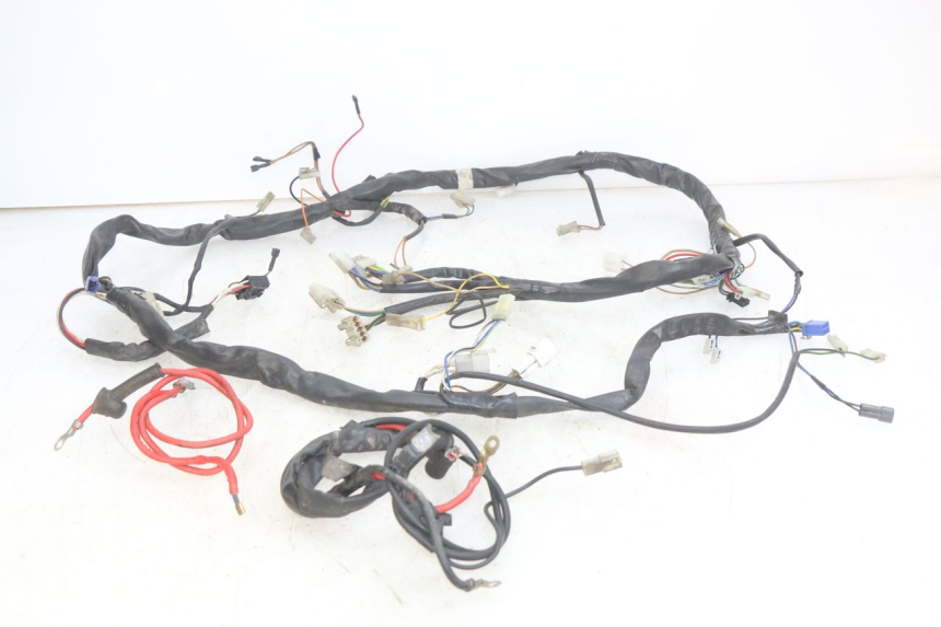 photo de WIRING HARNESS YAMAHA YP MAJESTY 125 (1998 - 2001)