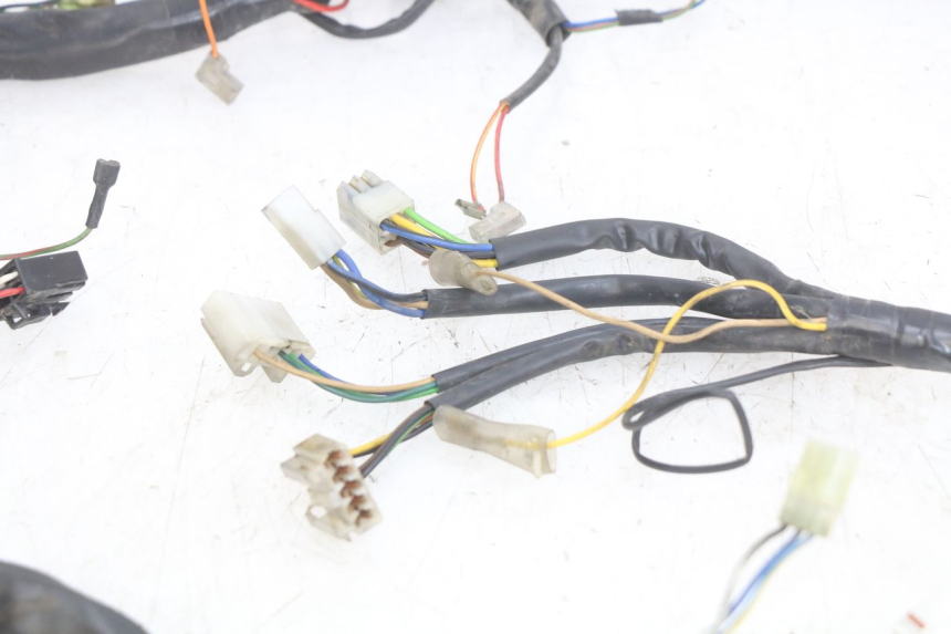 photo de WIRING HARNESS YAMAHA YP MAJESTY 125 (1998 - 2001)