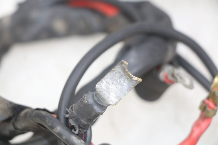 photo de WIRING HARNESS YAMAHA YP MAJESTY 125 (1998 - 2001)