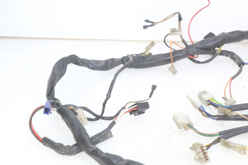 photo de WIRING HARNESS YAMAHA YP MAJESTY 125 (1998 - 2001)