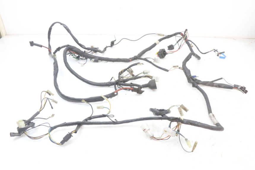 photo de WIRING HARNESS YAMAHA YP MAJESTY 125 (2002 - 2006)