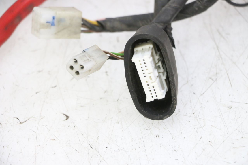 photo de WIRING HARNESS YAMAHA YP MAJESTY 125 (2007 - 2010)