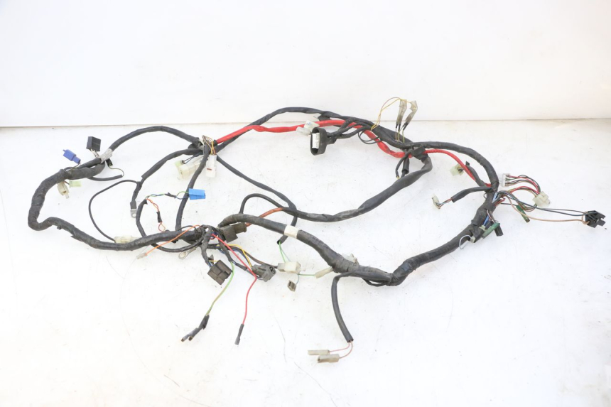 photo de WIRING HARNESS YAMAHA YP MAJESTY 125 (2007 - 2010)