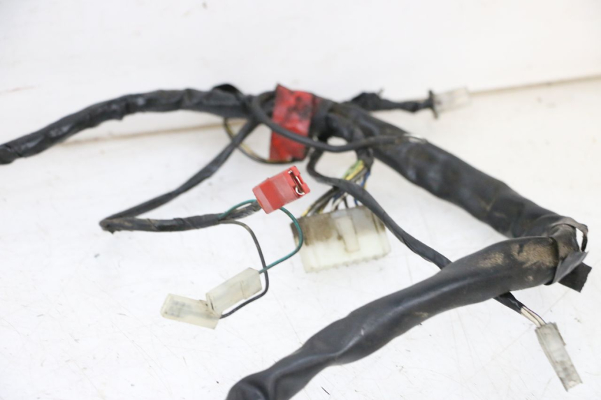 photo de WIRING HARNESS PIAGGIO ZIP 2T 50 (2009 - 2019) - Additional view of the item