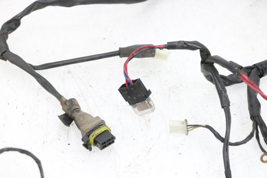 photo de WIRING HARNESS PIAGGIO ZIP 2T 50 (2009 - 2019) - Distinctive features
