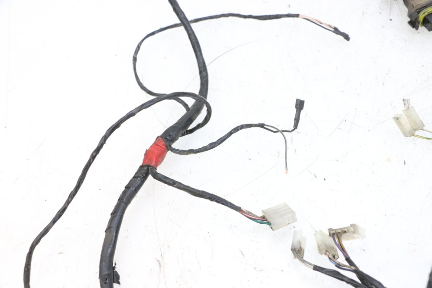 photo de WIRING HARNESS PIAGGIO ZIP 2T 50 (2009 - 2019) - Fixing points details