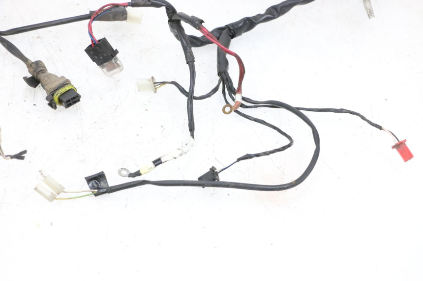 photo de WIRING HARNESS PIAGGIO ZIP 2T 50 (2009 - 2019) - Markings and original references