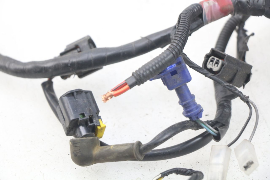 photo de WIRING HARNESS PIAGGIO ZIP 4T 50 (2018 - 2020)