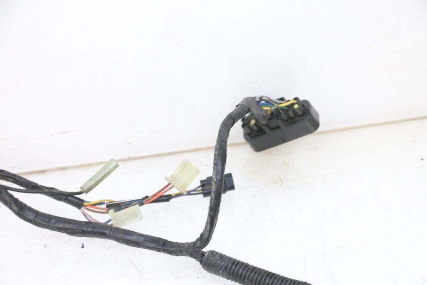 photo de WIRE HARNESS KAWASAKI ZR 7 750 (1999 - 2001) - Supplementary product photo