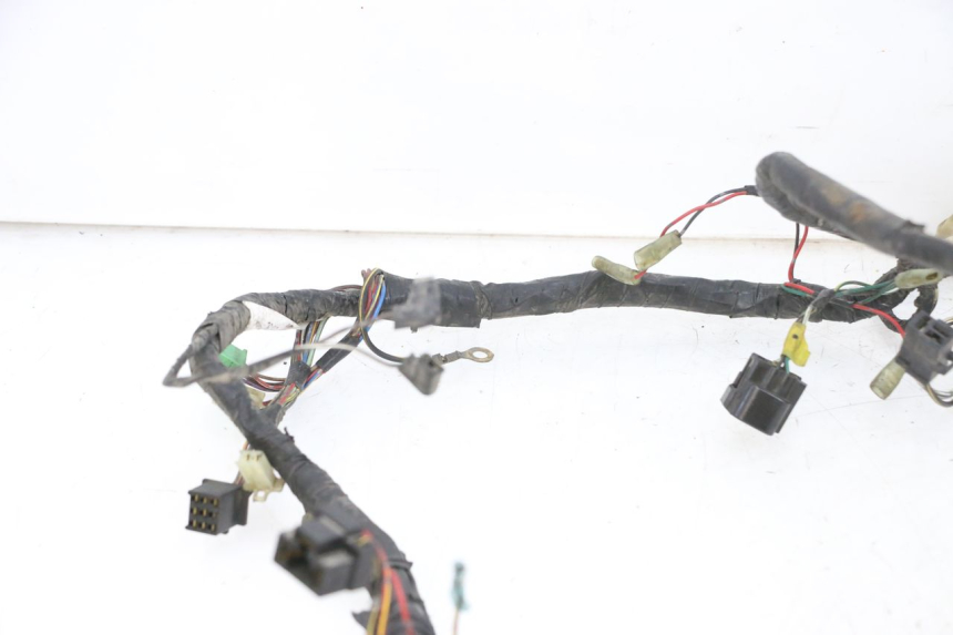 photo de WIRE HARNESS KAWASAKI ZR 7 750 (1999 - 2001) - Focus on structure
