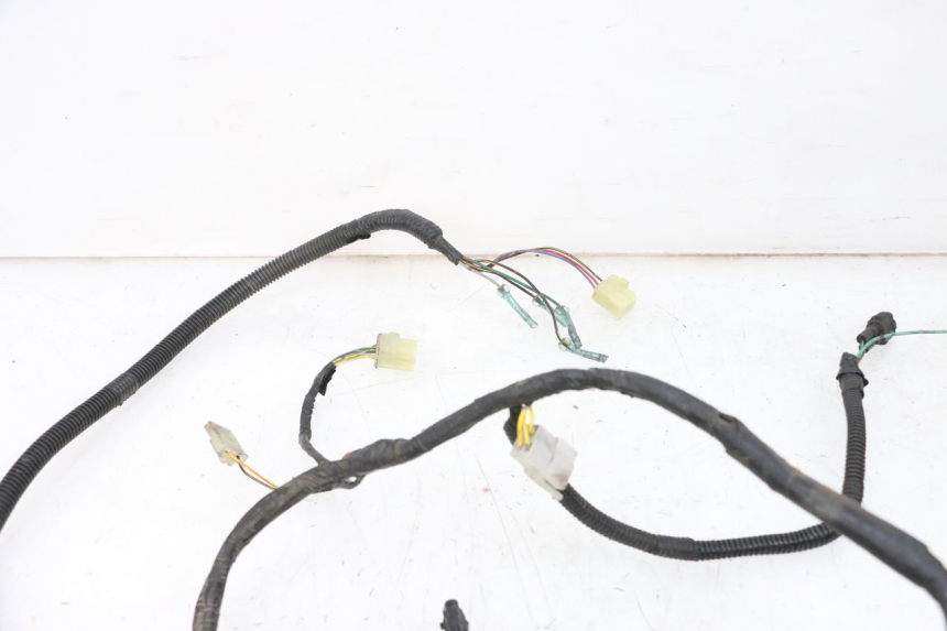 photo de WIRE HARNESS KAWASAKI ZR 7 750 (1999 - 2001) - Technical close-up