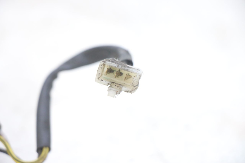 photo de REAR LIGHT PIAGGIO NEW TYPHOON 50 (2018 - 2021)