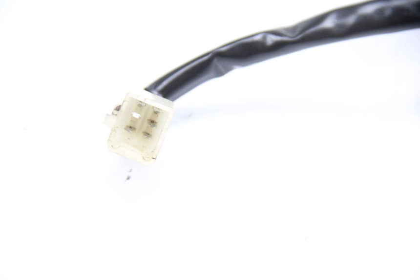 photo de REAR LIGHT TNT MOTOR ROMA 12' 2T 50 (2007 - 2018)