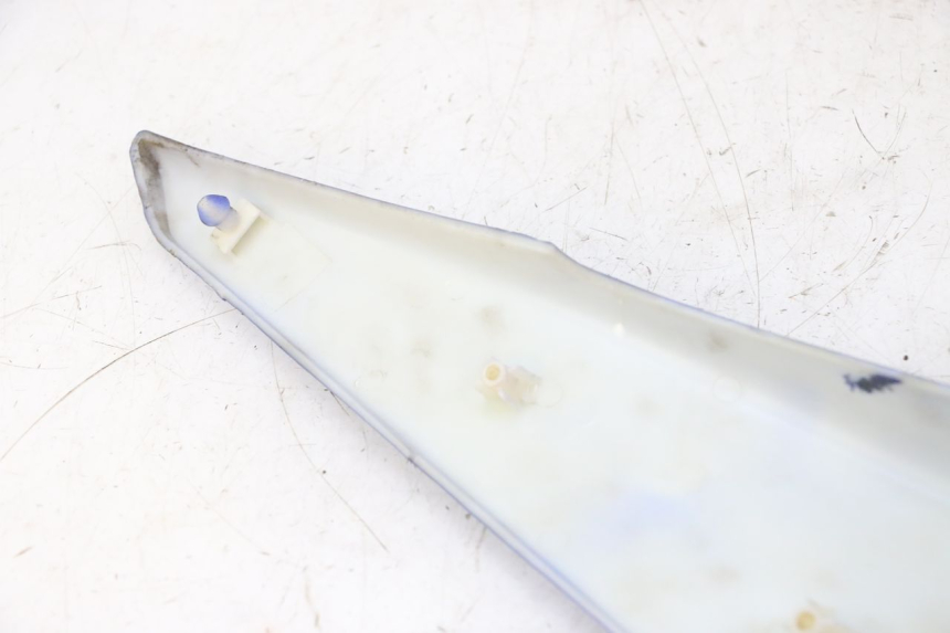 photo de REAR RIGHT PANEL STAHO FH 50 (2018 - 2019)