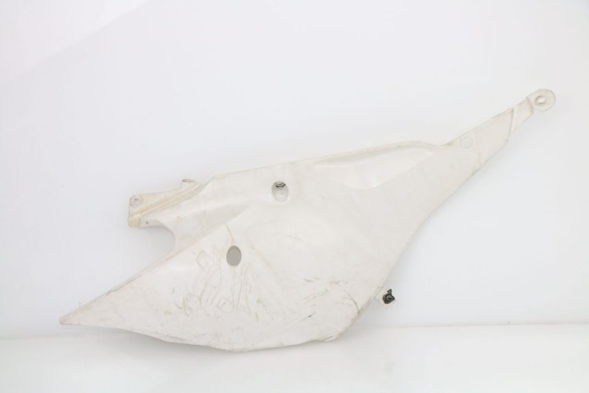photo de REAR RIGHT PANEL BMW GX G450X 450 (2008 - 2010)