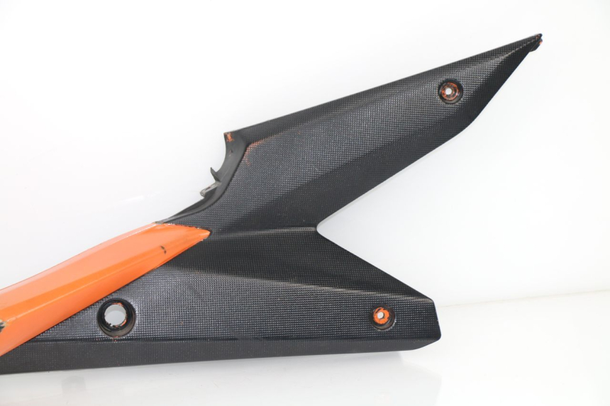 photo de REAR RIGHT PANEL RIEJU RS3 50 (2010 - 2018)