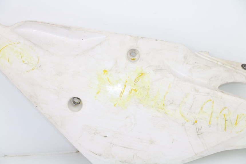 photo de REAR LEFT PANEL BMW GX G450X 450 (2008 - 2010)