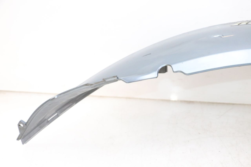 photo de REAR LEFT PANEL DAELIM HISTORY 125 (2001 - 2002)