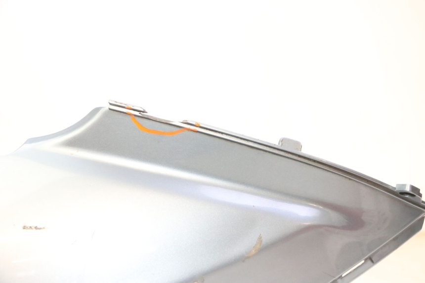 photo de REAR LEFT PANEL DAELIM HISTORY 125 (2001 - 2002)