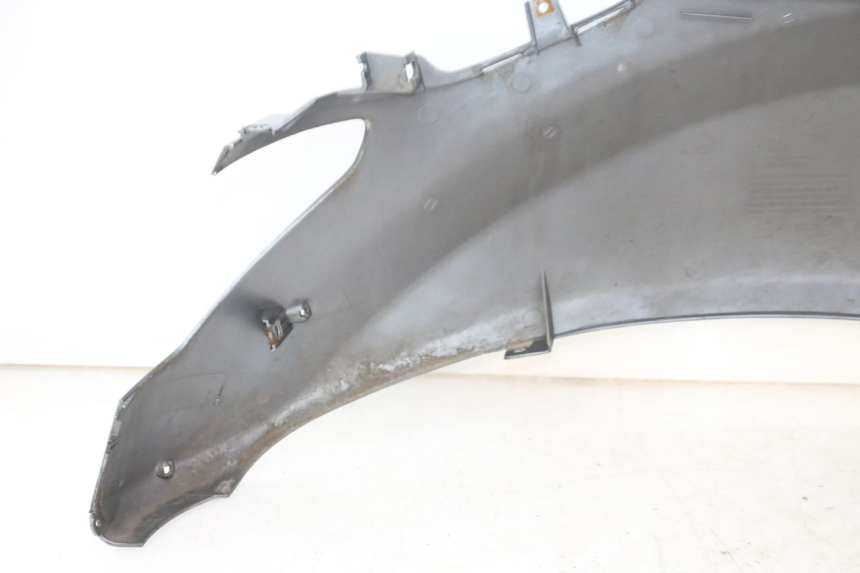 photo de REAR LEFT PANEL DAELIM HISTORY 125 (2001 - 2002)