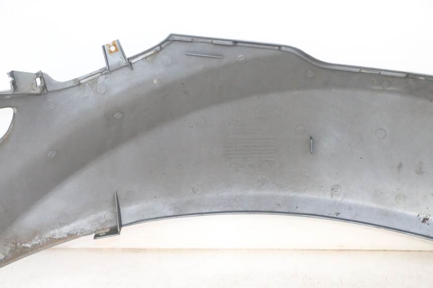 photo de REAR LEFT PANEL DAELIM HISTORY 125 (2001 - 2002)