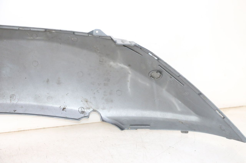 photo de REAR LEFT PANEL DAELIM HISTORY 125 (2001 - 2002)