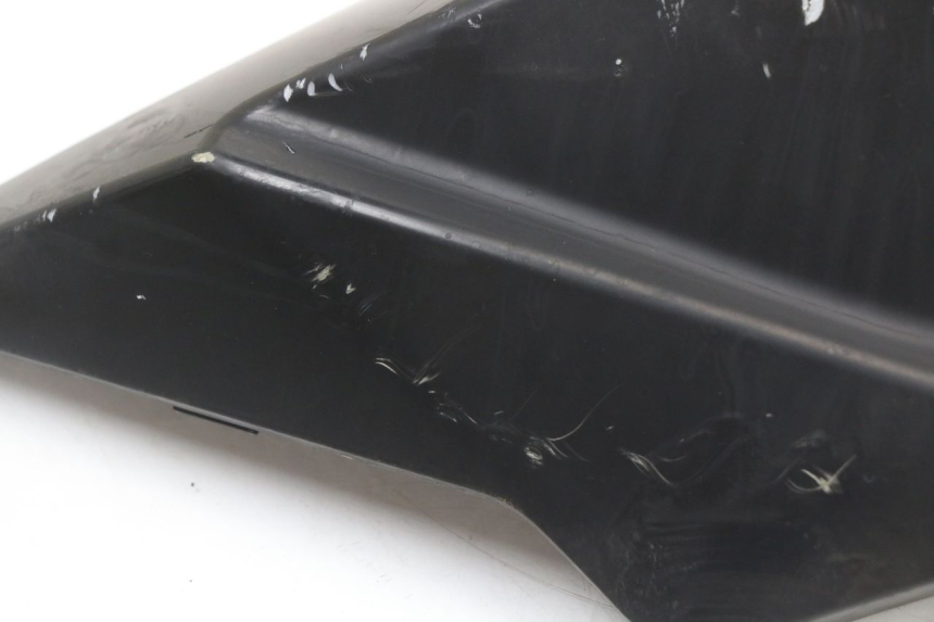 photo de REAR LEFT PANEL LONGJIA EASY MAX 125 (2020 - 2024)