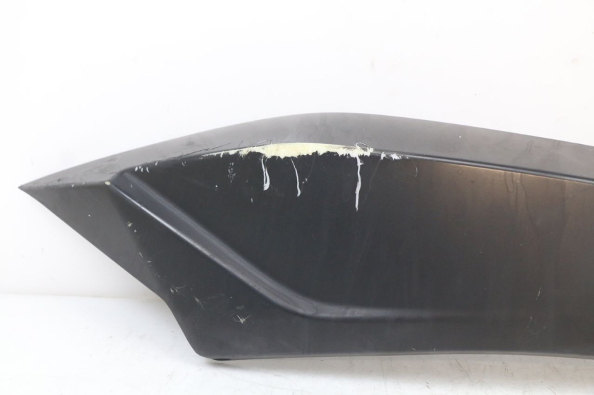 photo de REAR LEFT PANEL LONGJIA EASY MAX 125 (2020 - 2024)