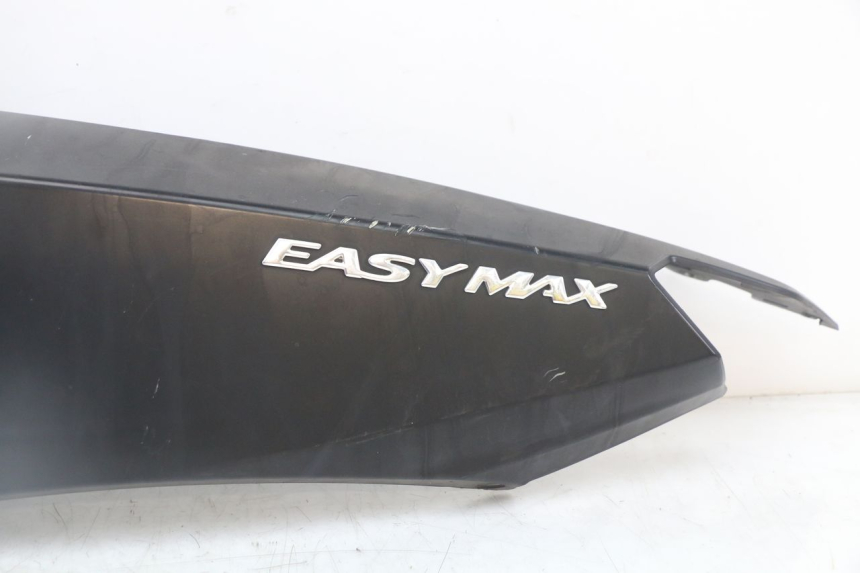 photo de REAR LEFT PANEL LONGJIA EASY MAX 125 (2020 - 2024)