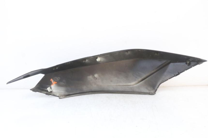 photo de REAR LEFT PANEL LONGJIA EASY MAX 125 (2020 - 2024)