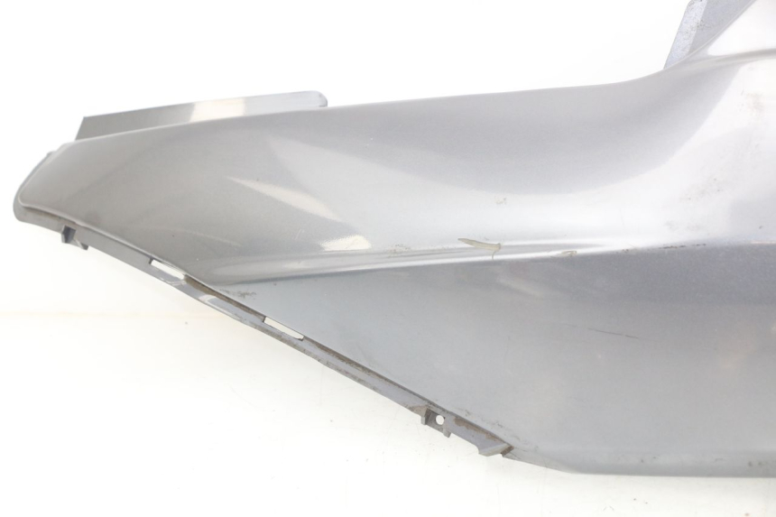 photo de REAR LEFT PANEL DAELIM S2 125 (2006 - 2007)