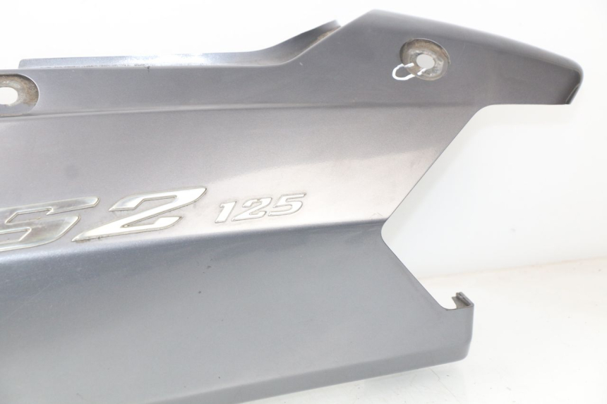 photo de REAR LEFT PANEL DAELIM S2 125 (2006 - 2007)