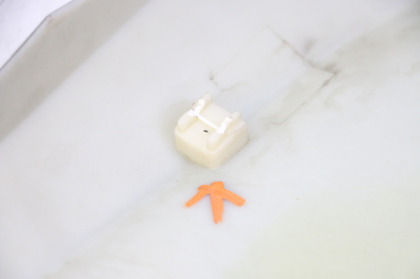 photo de RIGHT FRONT FAIRING STAHO FH 50 (2018 - 2019)