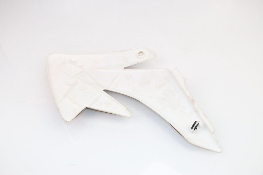 photo de RIGHT FRONT FAIRING NITRO MOTORS THUNDER 125