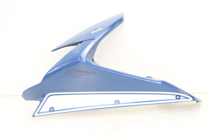 photo de LEFT FRONT FAIRING YAMAHA FJR ABS 1300 (2006 - 2012) - Main view